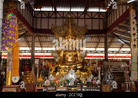 Su Tong PAE bouddha doré pour les voyageurs étrangers thaïlandais Visite de voyage et respect priant dans le temple de Phu sa Ma Du village de Ban Kung Mai Sak à Pai ci Banque D'Images