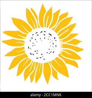 Image vectorielle des tournesols dessinés à la main Illustration de Vecteur