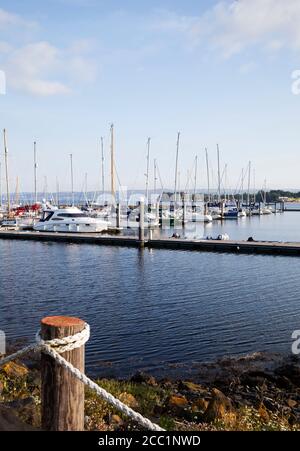 Vue sur le port de plaisance de Rhu sur le Gareloch, en Écosse, avec les croisières et les yachts à moteur. Banque D'Images