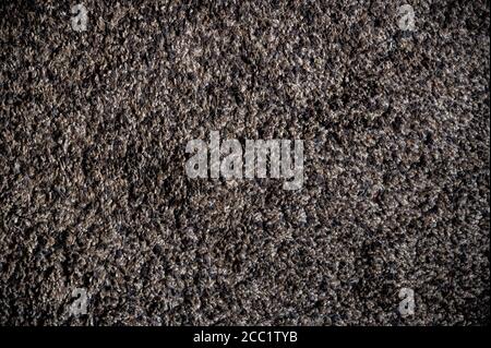 gros plan sur la texture de la moquette brune Banque D'Images