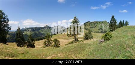 L'Autriche, vue de l'alp pâturage avec Osterhorngruppe Postalm montagne à Banque D'Images