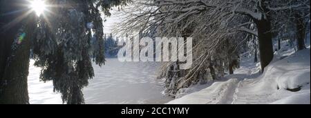 Allemagne, Bade-Wurtemberg, Schwarzwald, Mummelsee, Lac gelé Banque D'Images