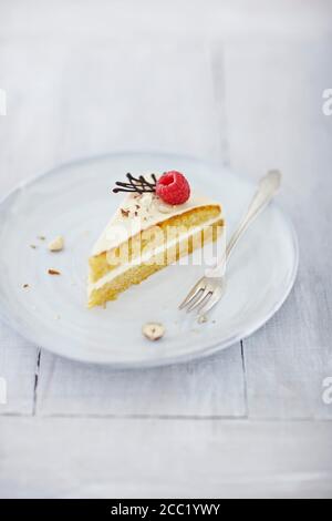 Gâteau aux carottes avec framboise sur plaque, Close up Banque D'Images