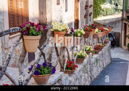 Espagne, Majorque, plantes en pot décoration lors de maisons dans la vieille ville de Valldemossa Banque D'Images