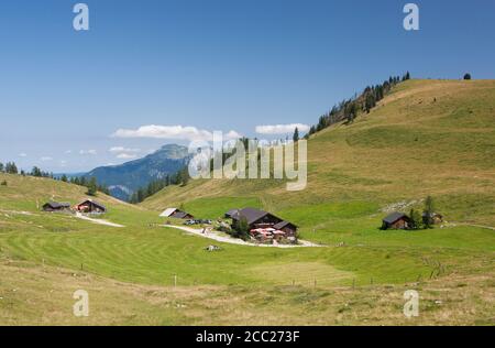 L'Autriche, vue de l'alp à pâturage de Postalm Banque D'Images