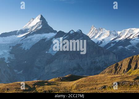 Vue au lever du soleil sur la gamme bernoise au-dessus du lac Bachalpsee. Les plus hauts sommets Eiger, Jungfrau et Faulhorn dans un emplacement célèbre. Suisse alpes, Grindelwald Banque D'Images