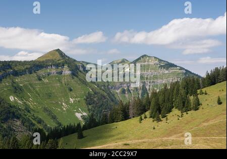 L'Autriche, vue de l'alp à pâturage Osterhorngruppe Postalm, montagne en arrière-plan Banque D'Images