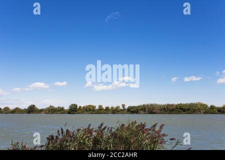 France, Camargue, vue d'Petite-Rhone dans le delta du fleuve du Rhône Banque D'Images