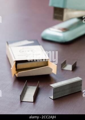 Agrafeuse et agrafes Banque D'Images