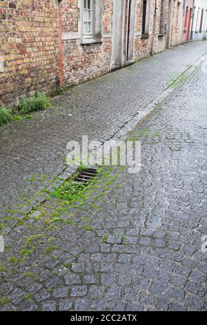 Belgique, Bruges, vue de la route vide Banque D'Images