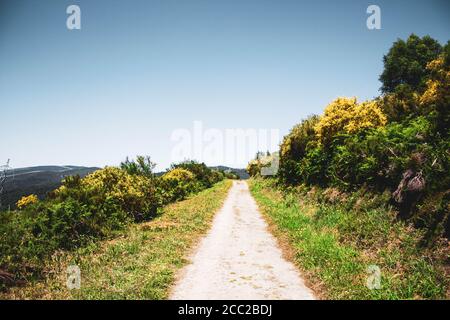 chemin en pierre entouré de végétation contre les montagnes et le ciel bleu Banque D'Images