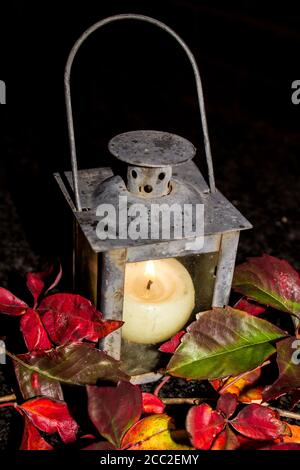 Un vieux porte-bougie abîmé en forme de lanterne entouré par les feuilles d'automne colorées d'un super-réducteur de Virginie, sur un fond noir Banque D'Images