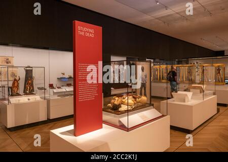 Londres, Angleterre. 17 août 2020. La vue de la presse au Musée des Sciences avant la réouverture officielle. Après cinq mois de fermeture en raison de la pandémie du coronavirus, le Musée des sciences rouvrira ses portes au public le mercredi 19 août 2020. (Photo de Sam Mellish / Alamy Live News) Banque D'Images