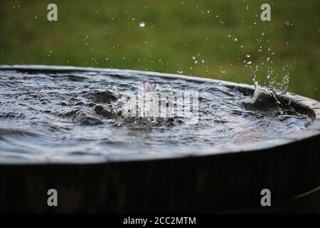 La pluie tombe dans un baril de bois plein d'eau dedans le jardin Banque D'Images