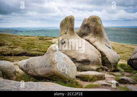 Blocs de pierre meulière altérés sur Kinder Scout, Peak District, Derbyshire, Angleterre, RU Banque D'Images