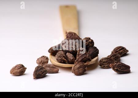 Épices indiennes - graines entières de cardamome noir dans une cuillère sur fond blanc Banque D'Images