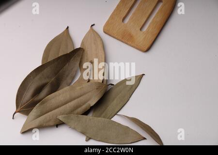 Feuilles aromatiques isolé sur fond blanc Banque D'Images