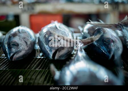 Vente de thon frais au marché indonésien traditionnel des fruits de mer Banque D'Images