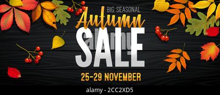 Bannière publicitaire sur la vente d'automne à la fin de la saison avec des feuilles d'automne brillantes. Invitation à faire du shopping avec 50 % de réduction. Style tendance, rouge foncé Illustration de Vecteur