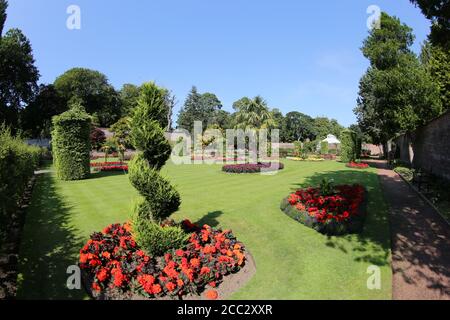 Ayr, Ayrshire, Écosse, jardin clos dans le parc public de Belleisle août 2020 crédit : Alister Firth Banque D'Images