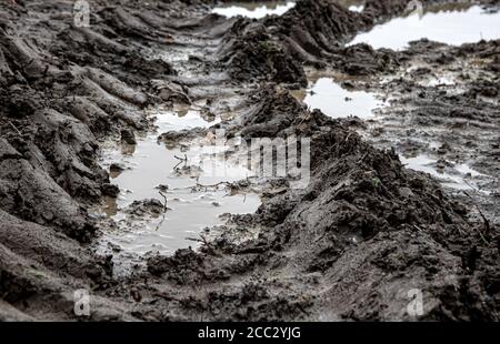 Un chantier de construction avec des traces de voitures dans la boue. Traces de camions dans la boue. Boueux avec des flaques. Banque D'Images