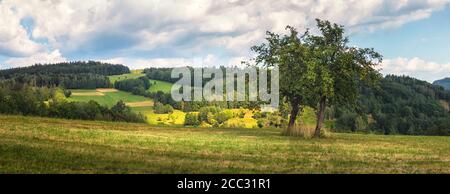 beau paysage avec prairie, arbres, forêts, en arrière-plan collines boisées et ciel bleu avec nuages Banque D'Images