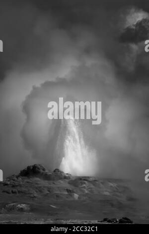 Geyser de vieux fidèles en noir et blanc Banque D'Images