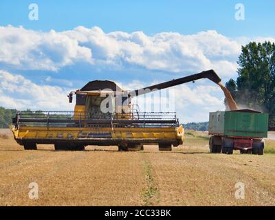 La moissonneuse-batteuse vidange la trémie à grain sur une remorque pendant récolte de blé Banque D'Images