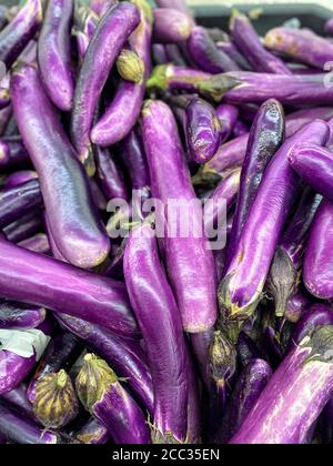 aubergines violettes exposées dans le bac du supermarché Banque D'Images