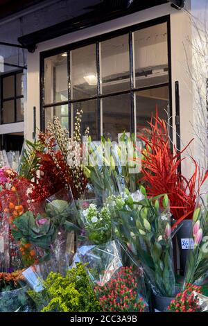 Fleuriste Hampstead, Londres Banque D'Images