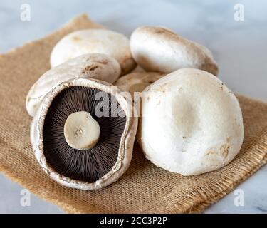 Champignons plats sur un chiffon jute à lumière naturelle Banque D'Images