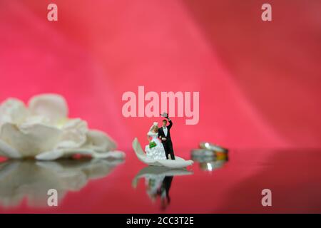 Photographie miniature - jardin fleur en plein air concept de mariage, mariée et marié marchant sur un sol brillant avec pétales de rose blanc Banque D'Images