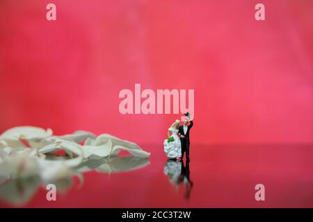 Photographie miniature - jardin fleur en plein air concept de mariage, mariée et marié marchant sur un sol brillant avec pétales de rose blanc Banque D'Images