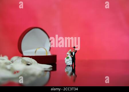 Photographie miniature - jardin fleur en plein air concept de mariage, mariée et marié marchant sur un sol brillant avec pétales de rose blanc, y compris en forme de coeur rouge Banque D'Images