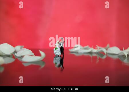 Photographie miniature - jardin fleur en plein air concept de mariage, mariée et marié marchant sur un sol brillant avec pétales de rose blanc Banque D'Images