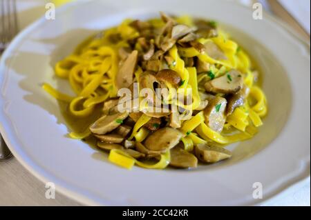 Savoureuses pâtes tagliatelles maison aux champignons porcini boletus fraîchement récoltés dans une sauce crémeuse, gros plan Banque D'Images
