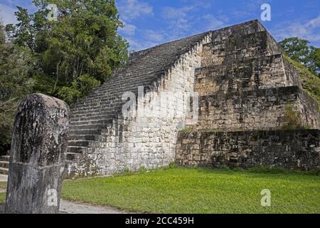 Vieilles ruines de Tikal / Yax Mutal, ancienne ville maya près de la ville de Flores, département de Petén, Guatemala, Amérique centrale Banque D'Images