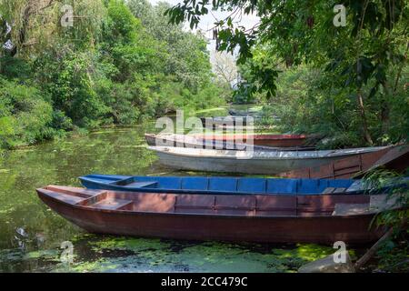 Vieux bateaux de pêche en bois sur un étang. Petits bateaux de pêche traditionnels sur la rive de la rivière en Serbie. Banque D'Images