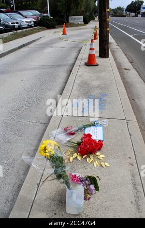 Goleta, Californie, États-Unis. 17 août 2020. Memorial Flowers a quitté en signe de protestation alors que les citoyens du comté de Santa Barbara pleurent la boîte aux lettres manquante devant le bureau de poste de Goleta que beaucoup de gens conduisent et dépendent régulièrement. Un panneau dans craie dit : « apportez nos boîtes de collection ». .le 17 août, les médias sociaux faisaient rage avec la nouvelle que la boîte aux lettres bleue qui a siégé pendant des années sur Patterson Ave., à Goleta, CA, en face de la poste américaine, était manquante. L'emplacement de Patterson est l'un des bureaux de poste les plus occupés de Santa Barbara CountyÃs, avec des centaines de personnes déposant le courrier par jour. Lorsque vous y êtes invité Banque D'Images