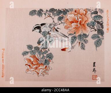 Imao keinen: Keinen Kacho Gafu (albums d'oiseaux et de fleurs four Seasons), oiseaux et roses. Japon. 1892 Imao keinen (1845 – 1924) est un peintre japonais Banque D'Images