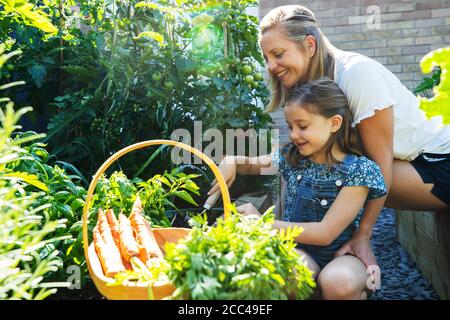 Mère et fille creuser dans des lits de légumes élevés à la maison Banque D'Images