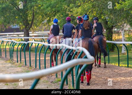 The Severals, Newmarket, Suffolk, Angleterre, Royaume-Uni – course de chevaux de course tôt le matin loin de la cour de l'entraîneur sur la route des galops Banque D'Images