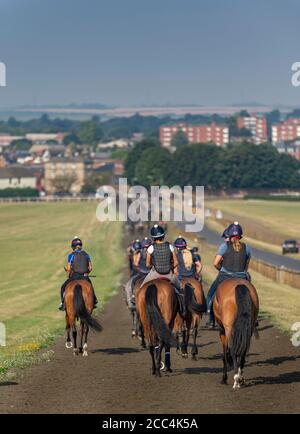 Newmarket, Suffolk, Angleterre, Royaume-Uni – vue de Warren Hill en regardant vers le bas sur la ville de Newmarket avec une série de chevaux au premier plan Banque D'Images