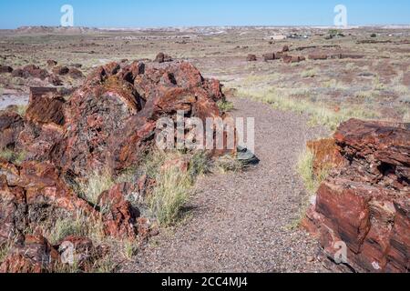 Une vue magnifique sur le paysage dans le parc national de Petrified Forest, Arizona Banque D'Images