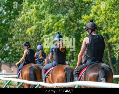 The Severals, Newmarket, Suffolk, Angleterre, Royaume-Uni – course à cheval en début de matinée loin du terrain des entraîneurs sur la route des gallops Banque D'Images