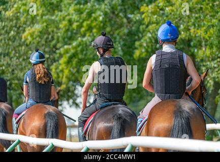 The Severals, Newmarket, Suffolk, Angleterre, Royaume-Uni – course à cheval en début de matinée loin du terrain des entraîneurs sur la route des gallops Banque D'Images