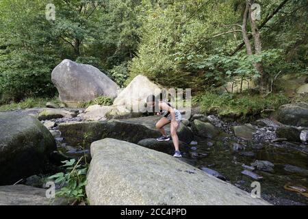 Eulenwelt-Falkenhof-Harz im Güntersberge. Banque D'Images