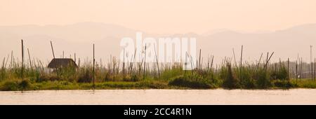 Panorama de jardins flottants sur le lac Inle à sunet en Birmanie, Myanmar Banque D'Images