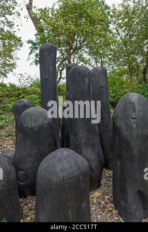 'Black Mound' par David Nash, RA, une puissante collection de formes de chêne charré dans un caucus sculpté: Tremenheere Sculpture Garden, Penzance, Cornwall Banque D'Images