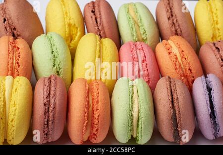 les macarons multicolores cuits ronds se trouvent dans une rangée, plein cadre, gâteau aux amandes brillantes, gros plan Banque D'Images